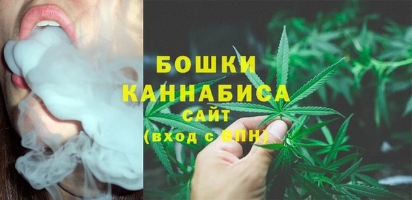 сатива Карталы