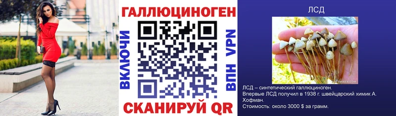 Купить  Заозёрный  Псилоцибиновые грибы мицелий 